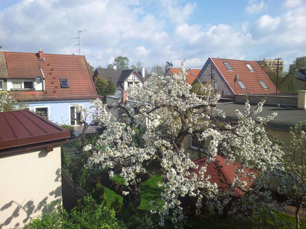 גדנסק Cozy Apartment With Garden מראה חיצוני תמונה